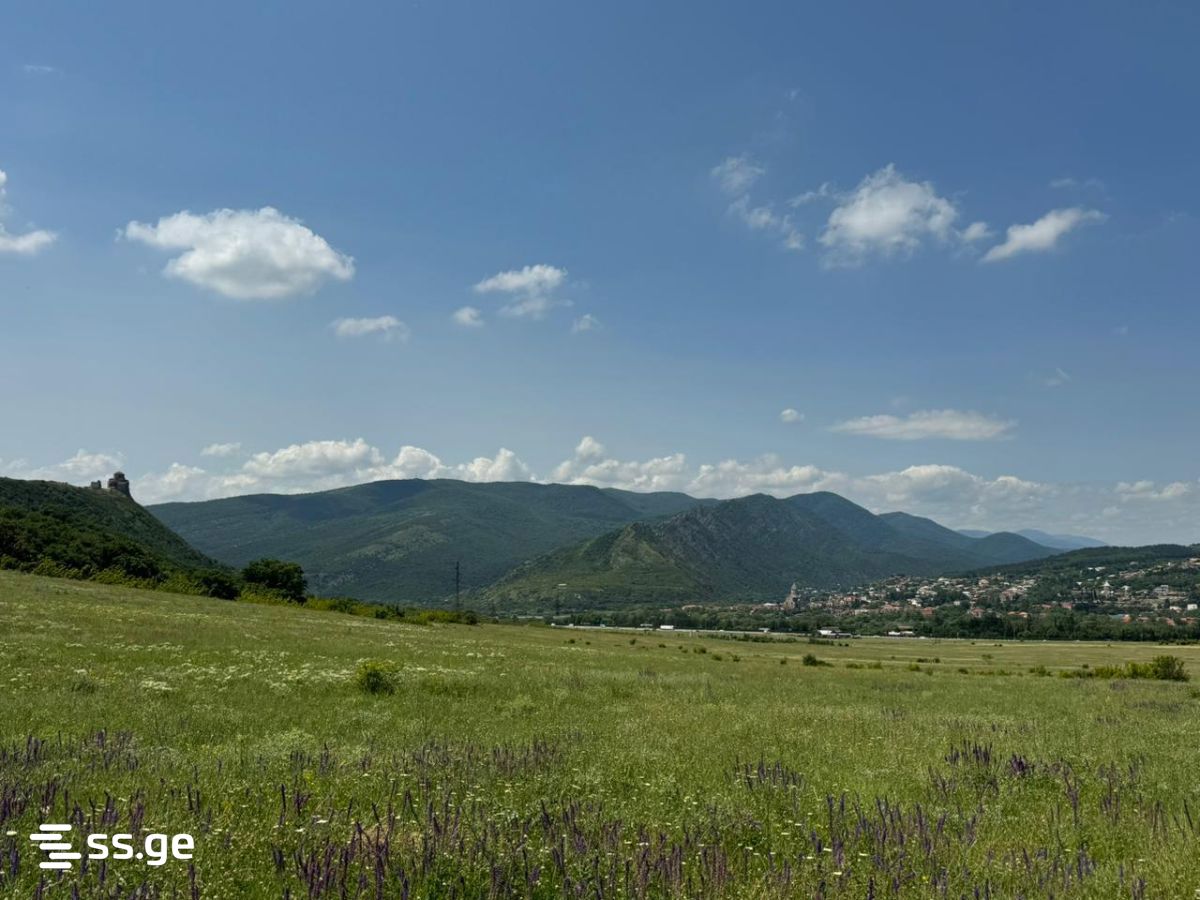 Land For Sale. Saguramo - Widok 5