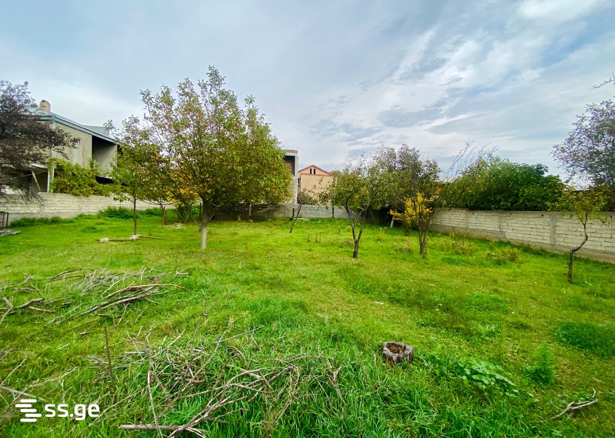 Land For Rent. Digomi Village view 1