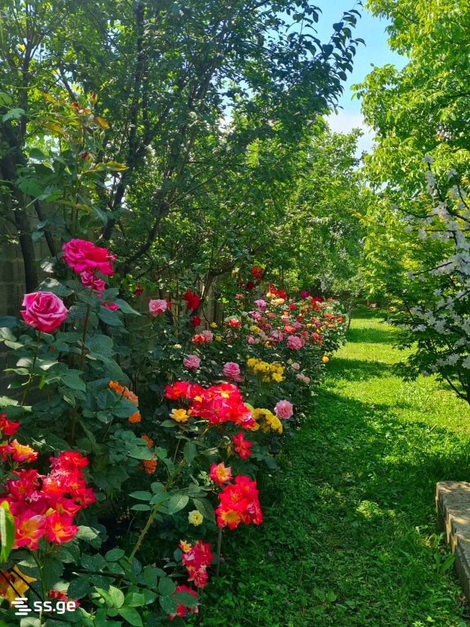 3 Room Summer Cottage Daily Rent. Saguramo, 3 of 4