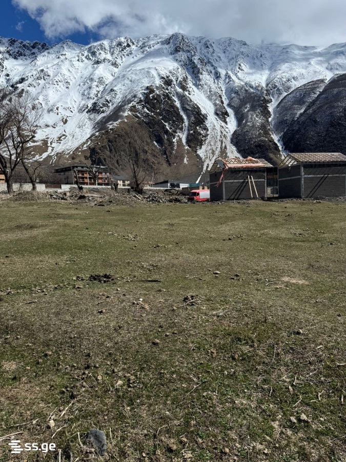 Land For Sale. Kazbegi view 8