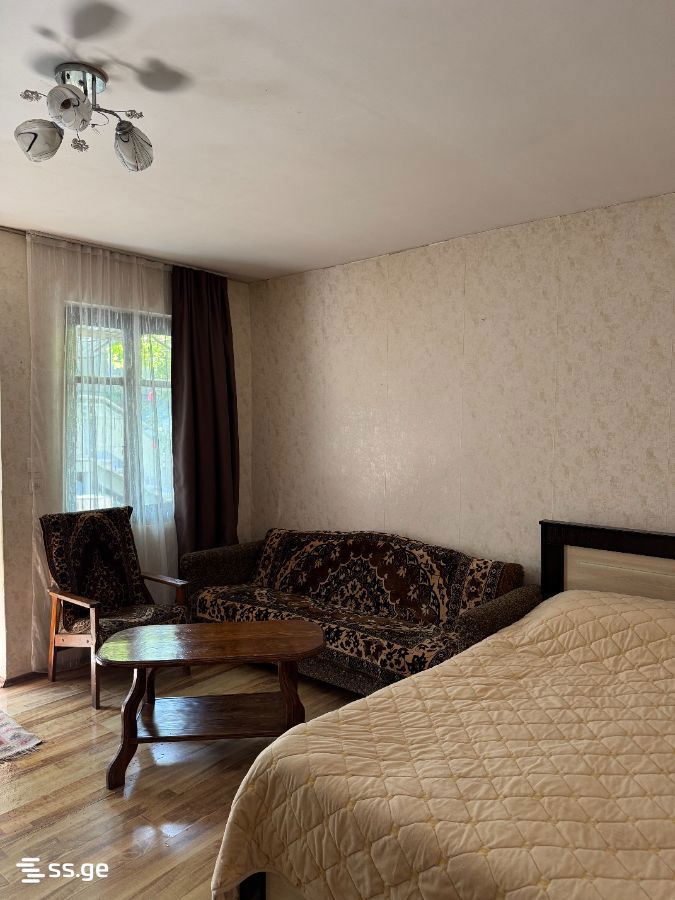 1 Room Private House Daily Rent. Borjomi view 5
