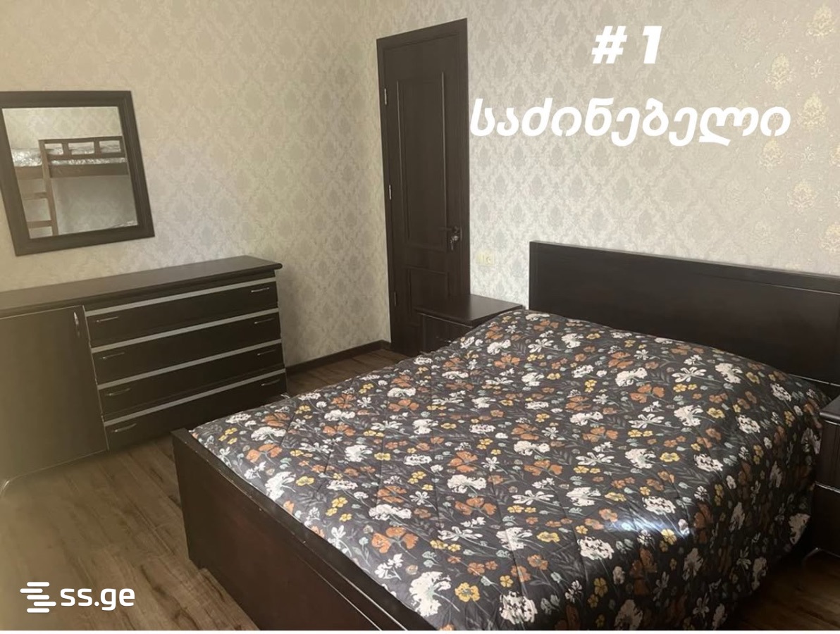 4 Room Summer Cottage Daily Rent. Bakuriani view 10