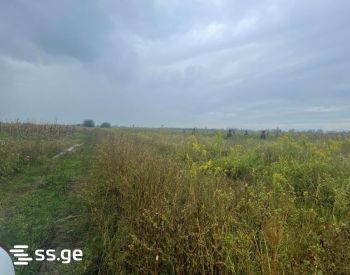 Land For Sale. Akhalsopeli view 4