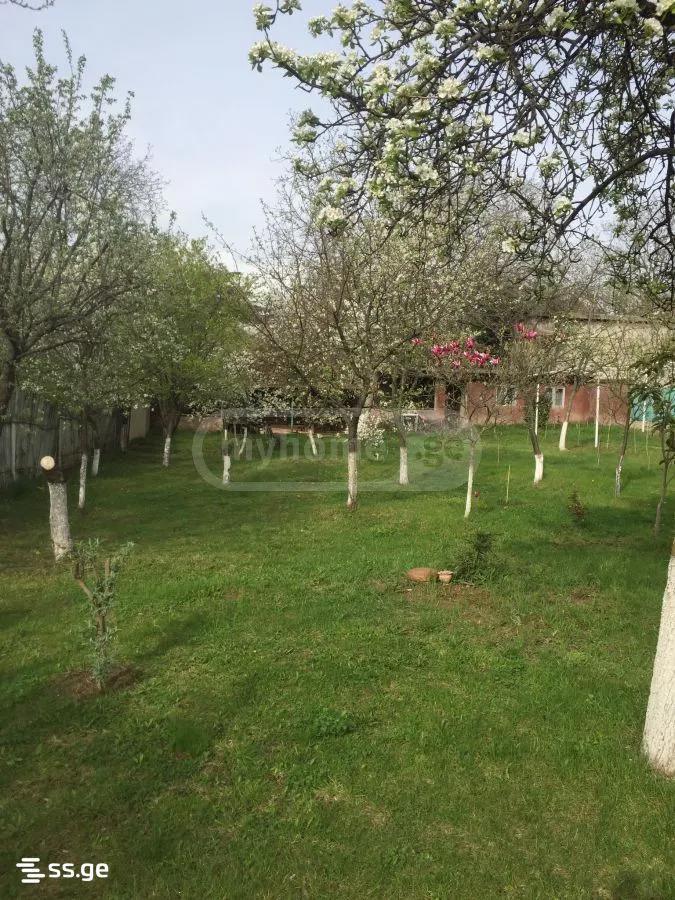 3 Room Summer Cottage For Rent. Saguramo view 12