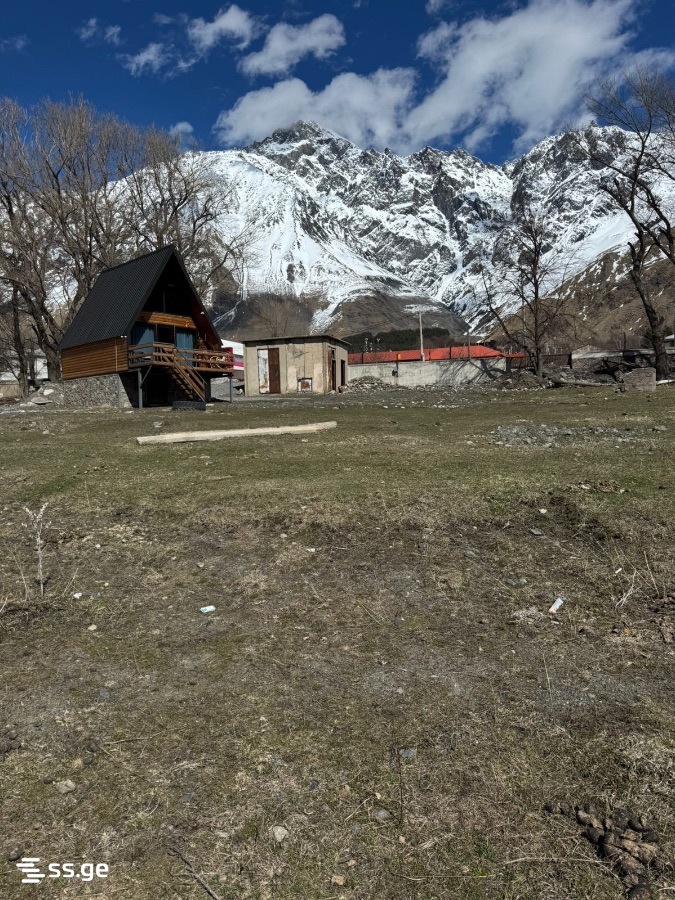 Land For Sale. Kazbegi view 10
