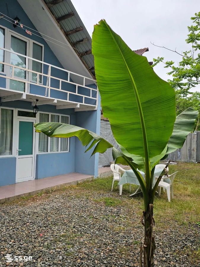 2 Room Private House Daily Rent. Shekvetili view 10