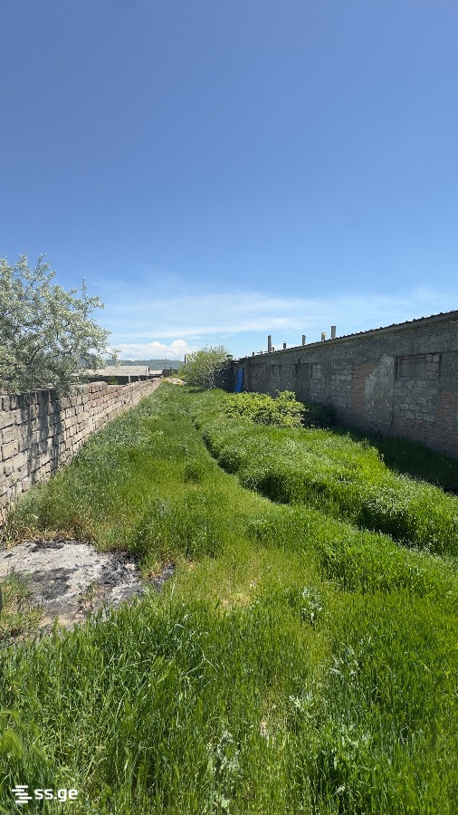 For Sale Sasatsqobe Commercial Space Kaspshi view 26