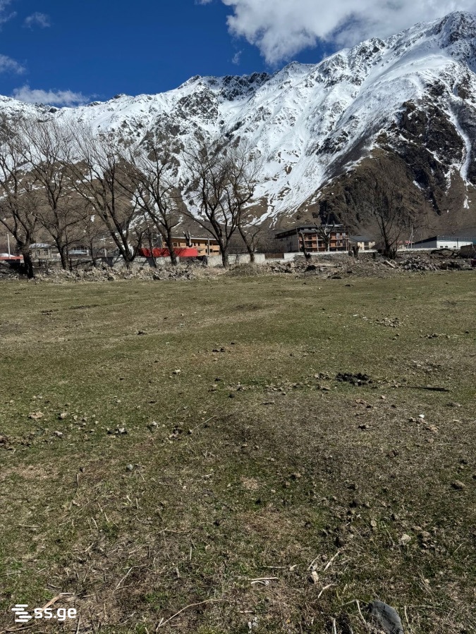 Land For Sale. Kazbegi view 9