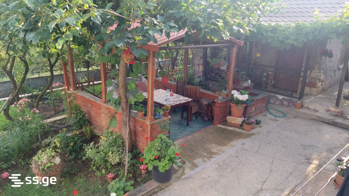 3 Room Private House Daily Rent. Kutaisi view 1