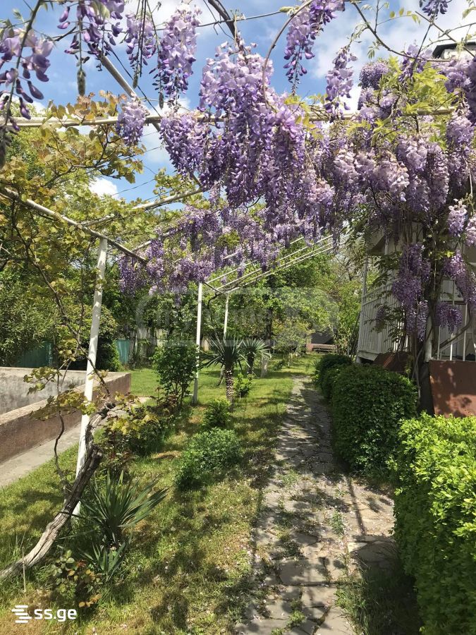 3 Room Summer Cottage For Rent. Saguramo view 10