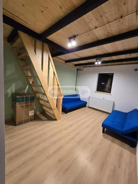 https://static.ss.ge/20260620/16_d4da1039-5faf-4263-921f-ac36db470e08_Thumb.jpg