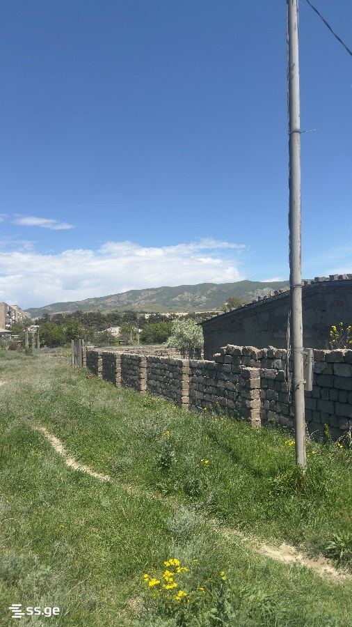 For Sale Sasatsqobe Commercial Space Kaspshi view 28