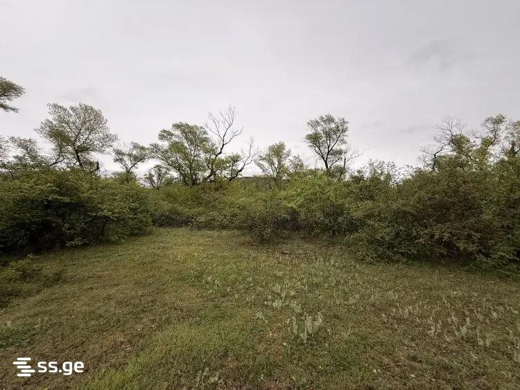 Land For Sale. Misaktsieli view 4
