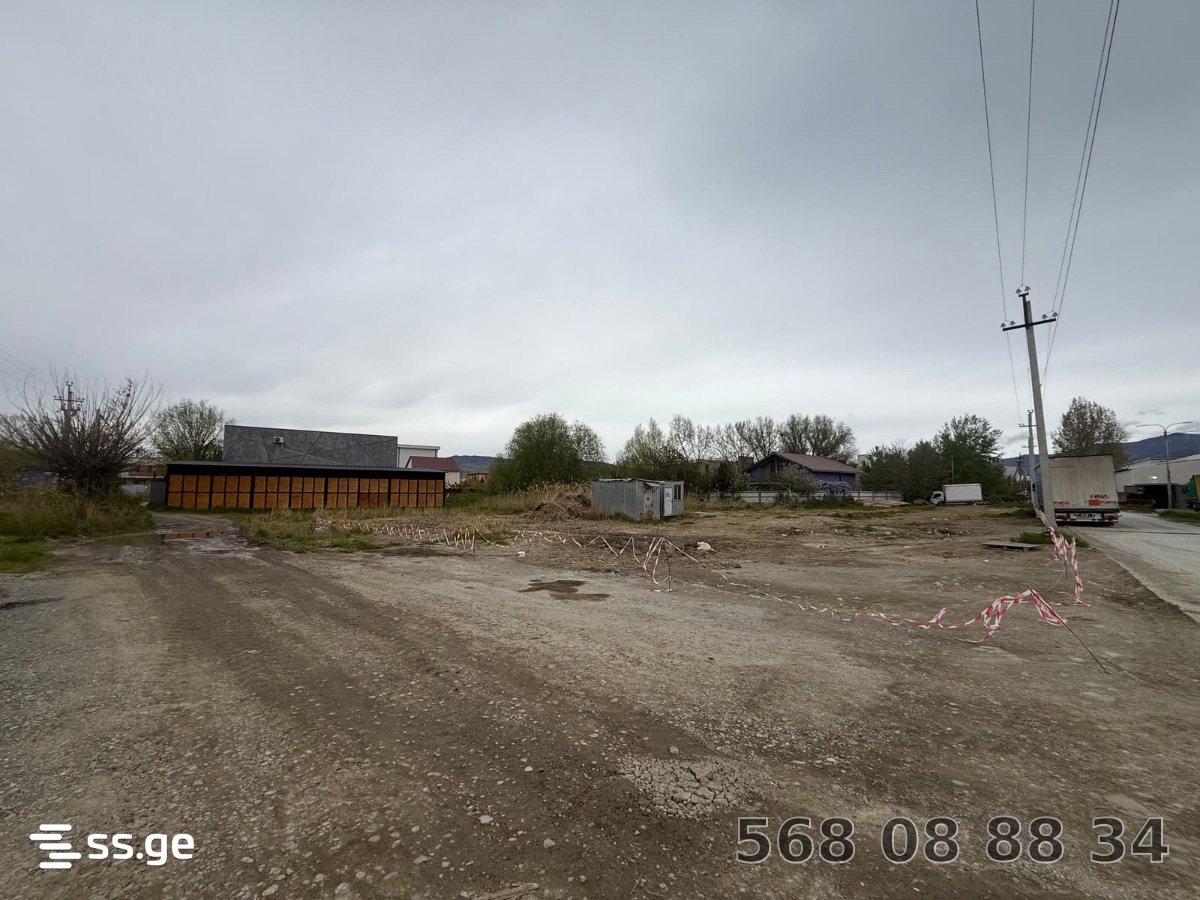 Land For Sale. Didi digomi - Widok 5