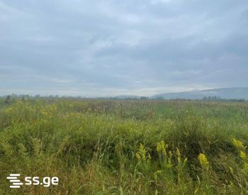 Land For Sale. Akhalsopeli view 1
