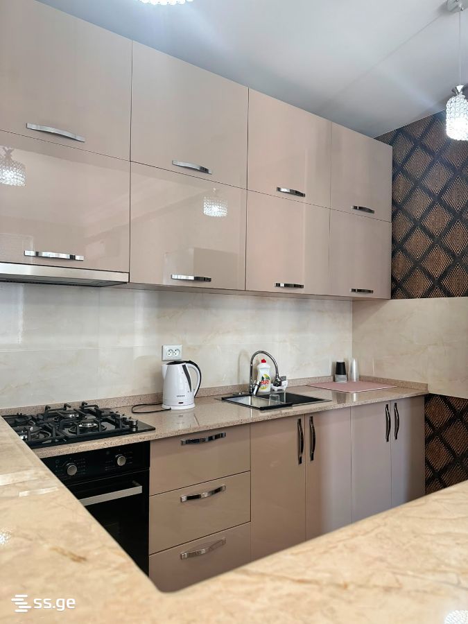3 room Flat For Rent. Nadzaladevi - Widok 3