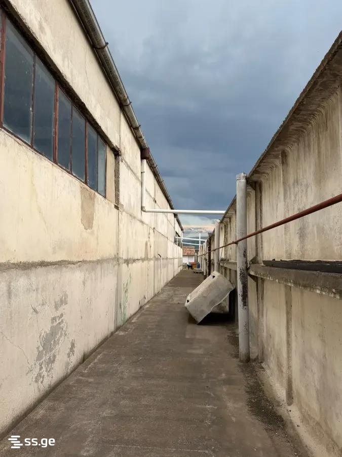 Продажа Store-Industrial Property в Шиндиси view 15