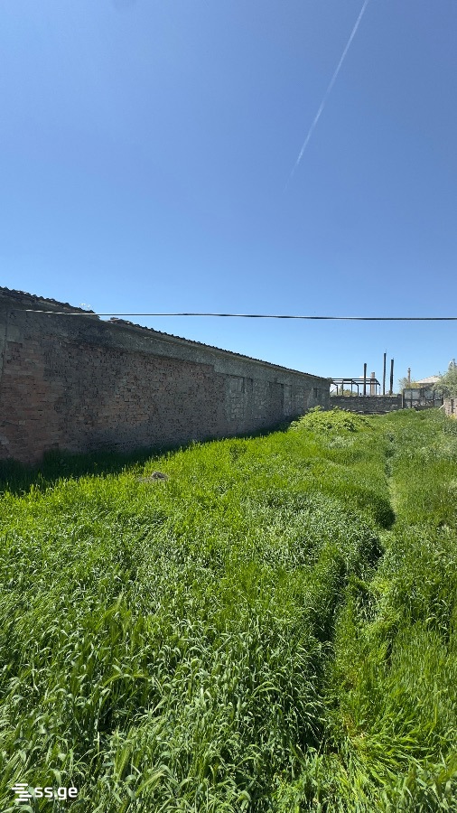 For Sale Sasatsqobe Commercial Space Kaspshi view 25