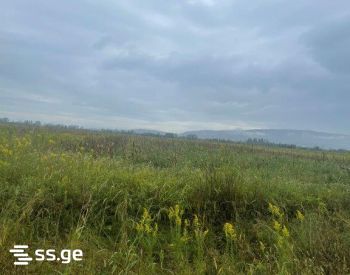 Land For Sale. Akhalsopeli view 3