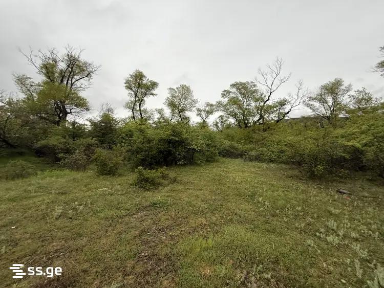 Land For Sale. Misaktsieli view 2