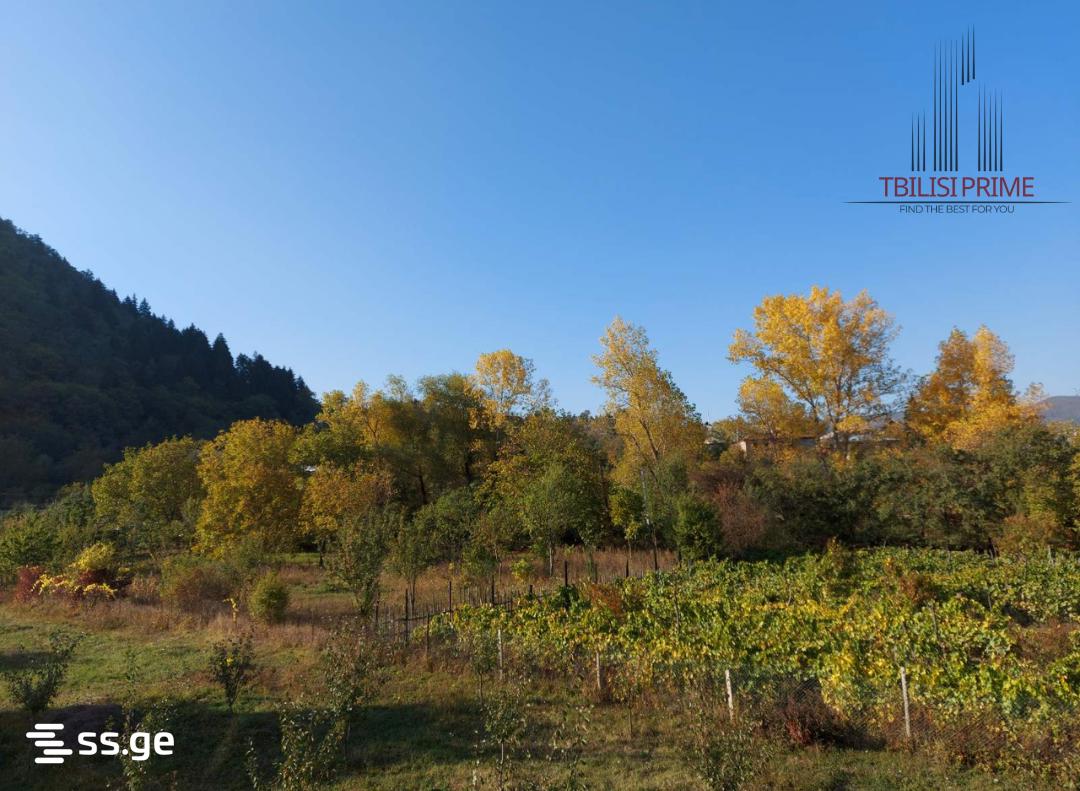Продажа 6-комната Summer Cottage view 6