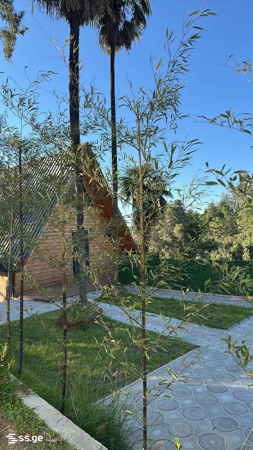 2 Room Summer Cottage Daily Rent. Tsikhisdziri view 10