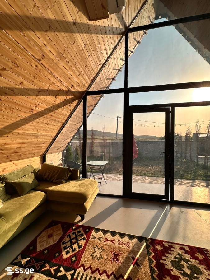 6 Room Private House Daily Rent. Bazaleti view 3