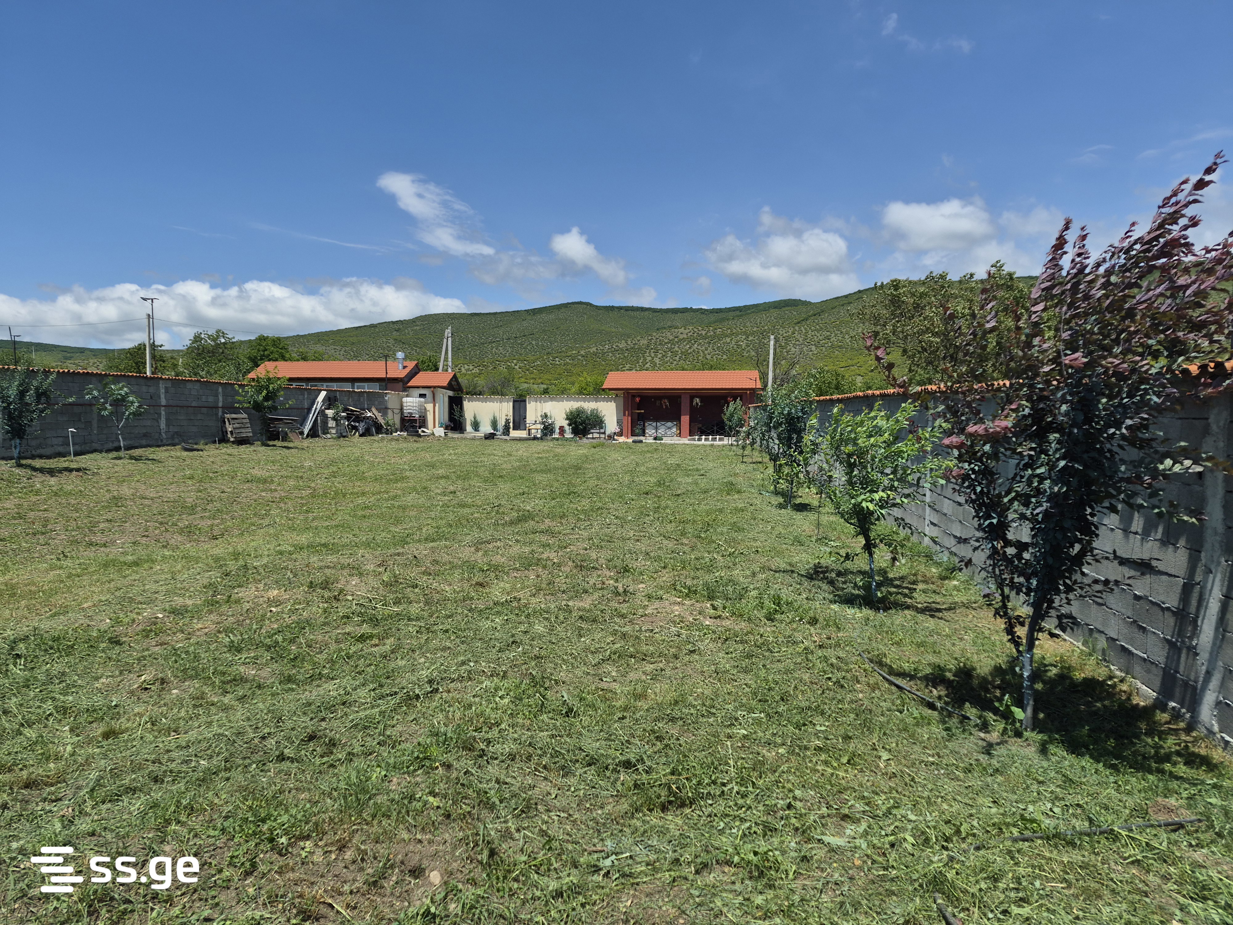 Land For Rent. Tsilkani view 5
