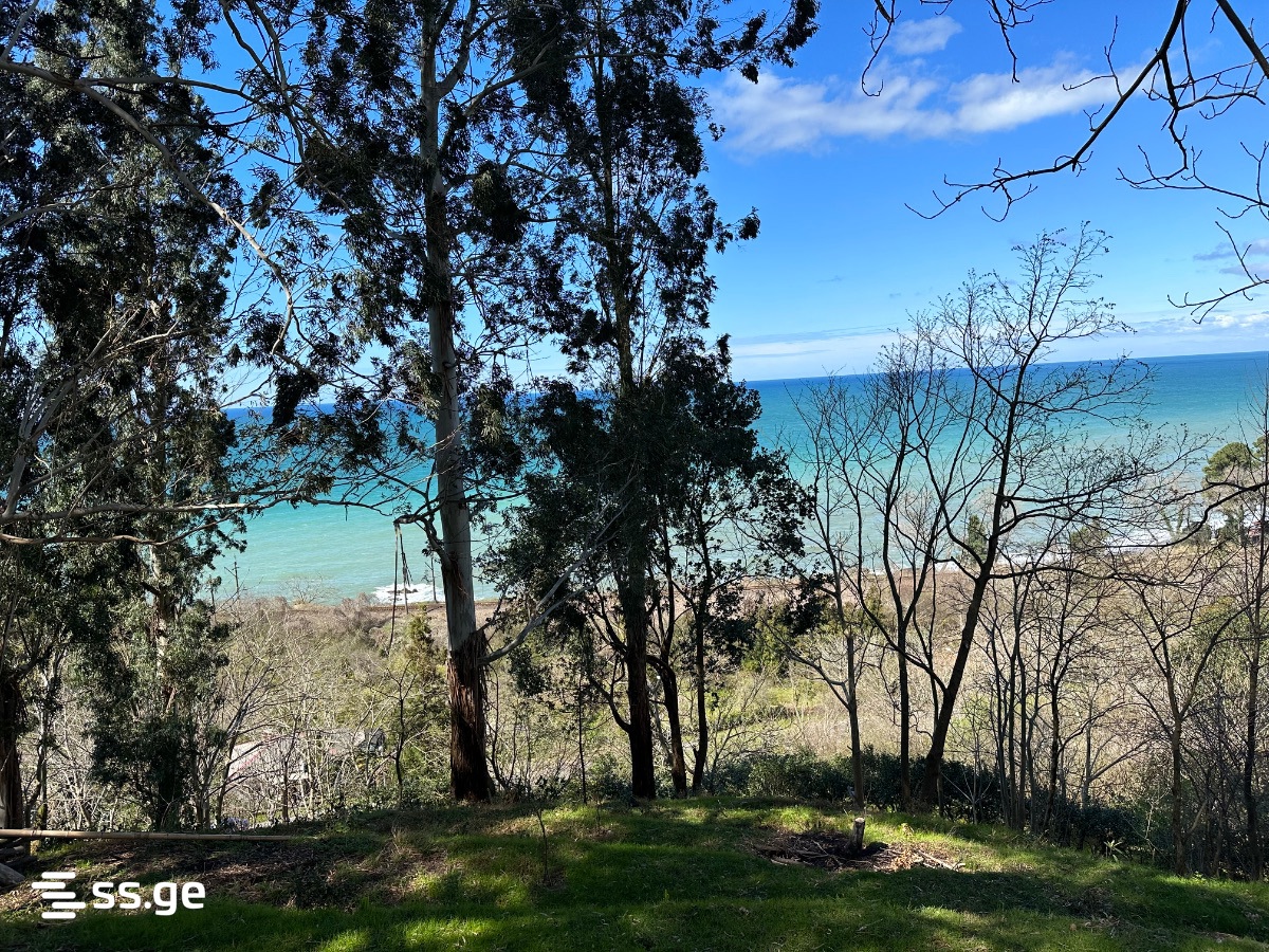 2 Room Summer Cottage Daily Rent. Tsikhisdziri view 13