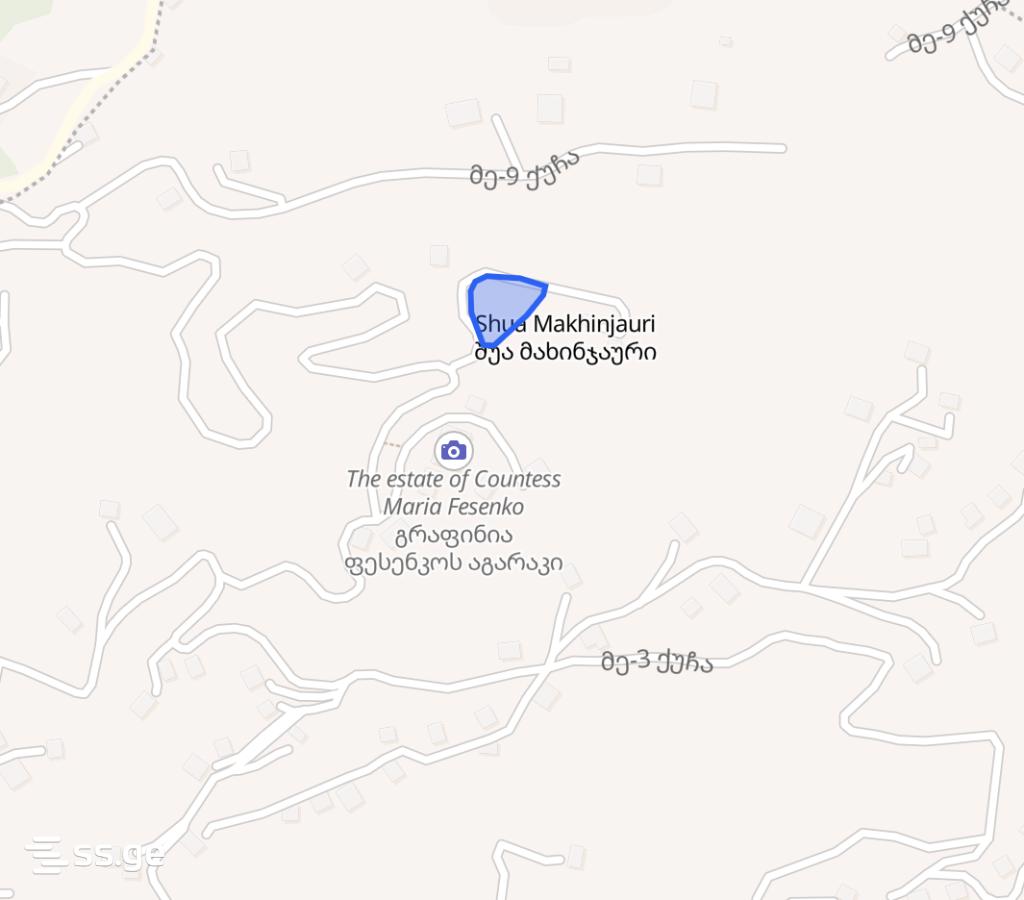 For Sale Sasoplo-Sameurneo Land Plot In Batumi view 5