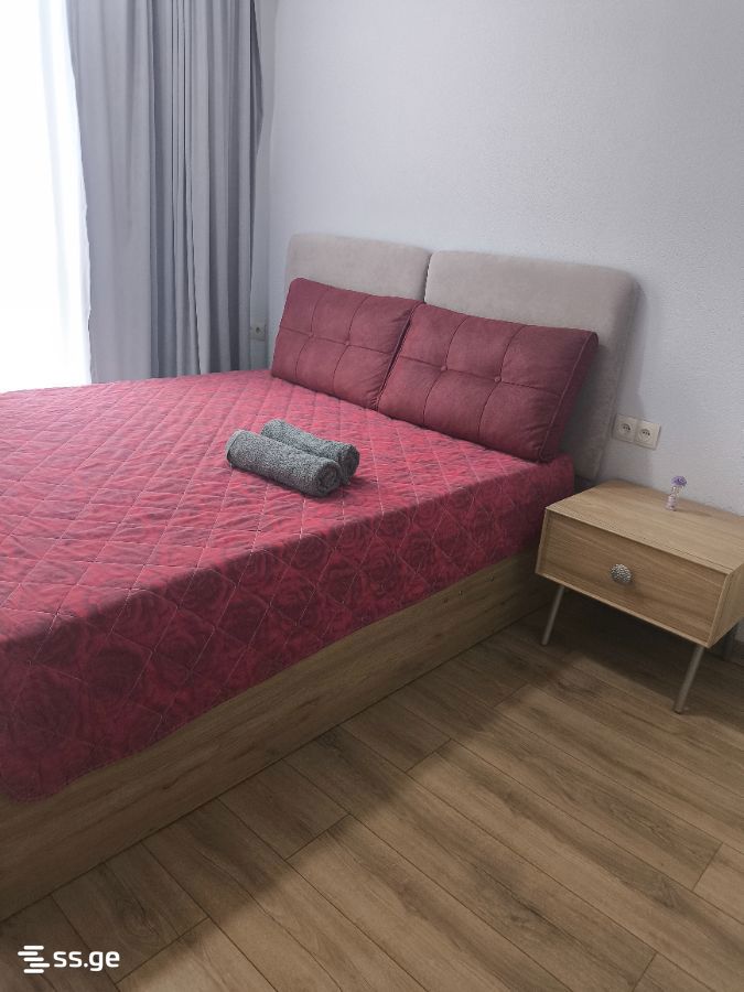3 Room Flat Daily Rent. Rustavi view 3