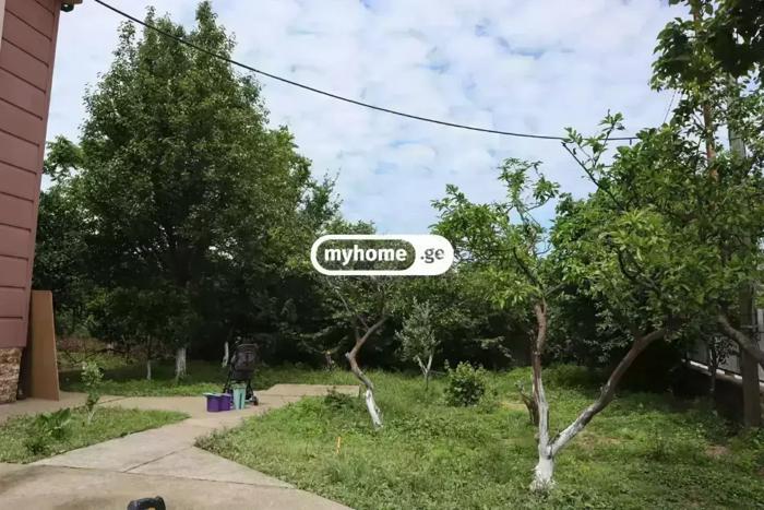 https://static.ss.ge/20260621/13_4e51b614-0228-40a5-83df-0ea75e03a183_Thumb.jpg