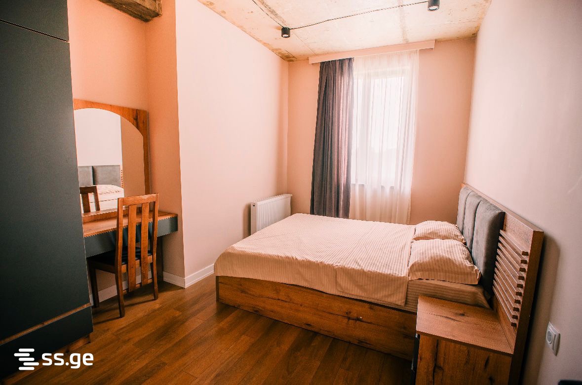6 Room Private House Daily Rent. Bazaleti view 8