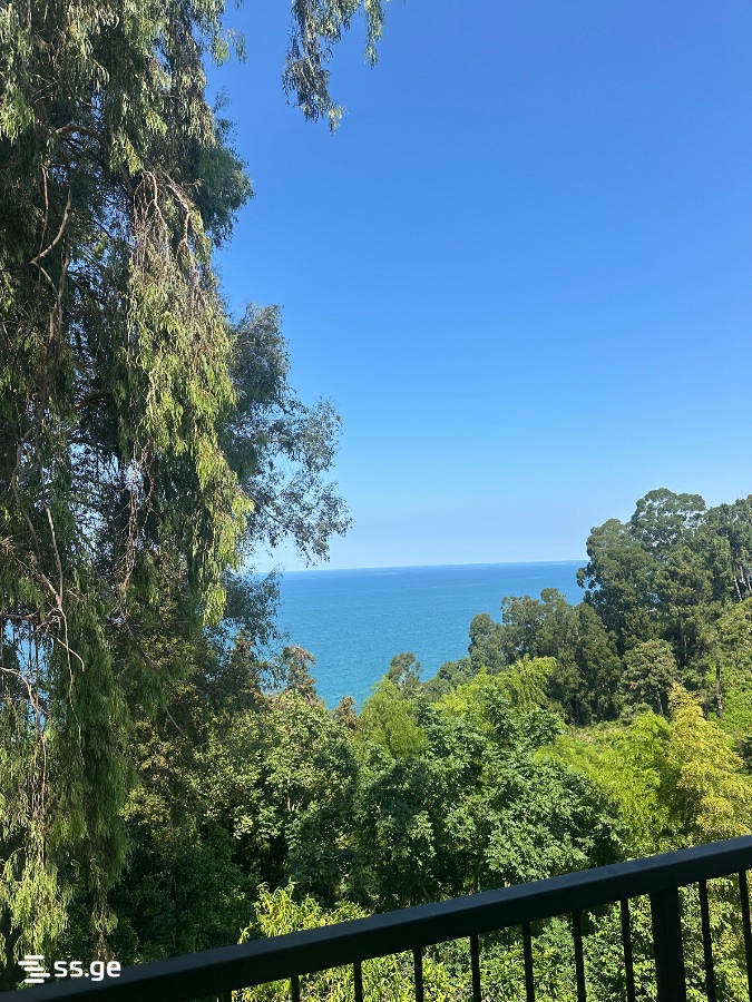 2 Room Summer Cottage Daily Rent. Tsikhisdziri view 12