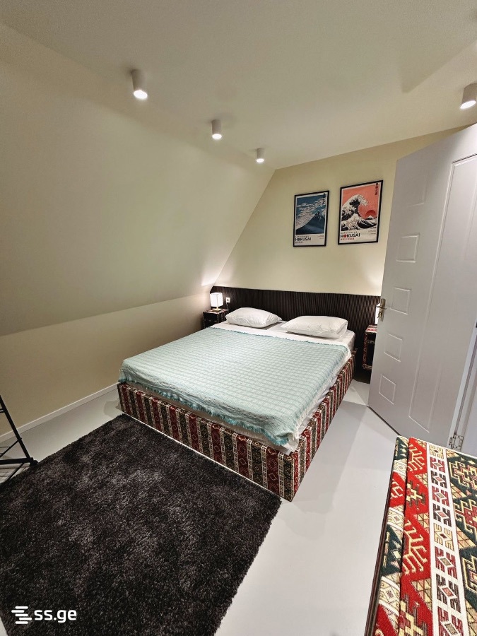 6 Room Private House Daily Rent. Bazaleti view 11
