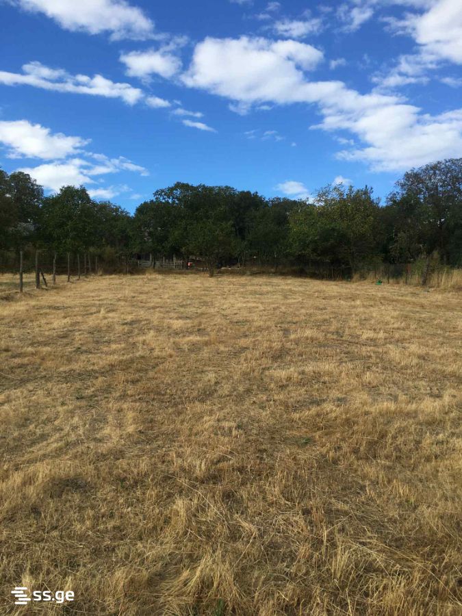 Land For Sale. Manglisi view 1