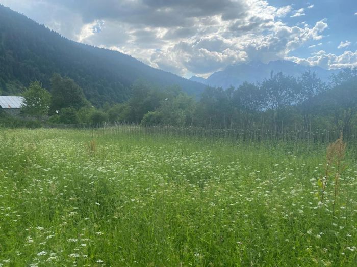 https://static.ss.ge/20260621/1_94304986-4063-4f5f-bf59-c61a8bd54536_Thumb.jpg