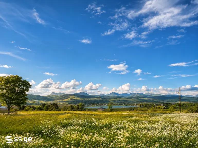 Продажа Земля в базалети view 2