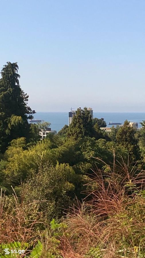 For Sale Sasoplo-Sameurneo Land Plot In Batumi view 4