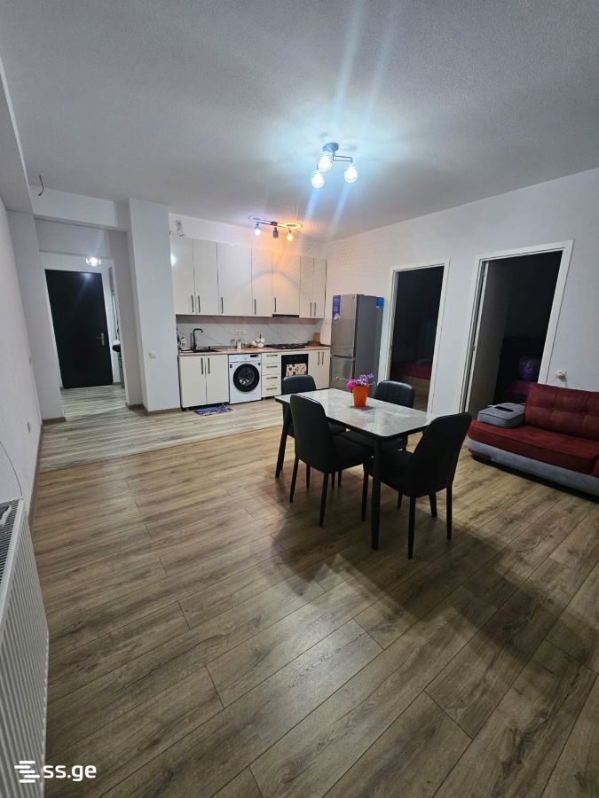 3 Room Flat Daily Rent. Rustavi view 11