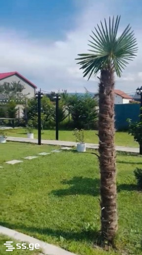 6 Room Private House Daily Rent. Mtskheta, 4 of 4