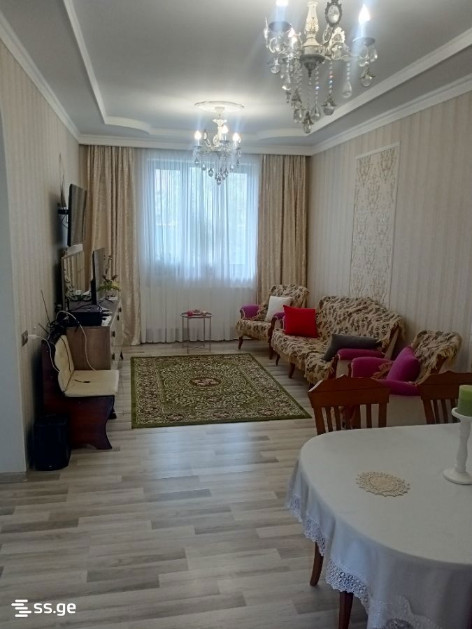 3 Room Private House For Rent. Didi Digomi view 11