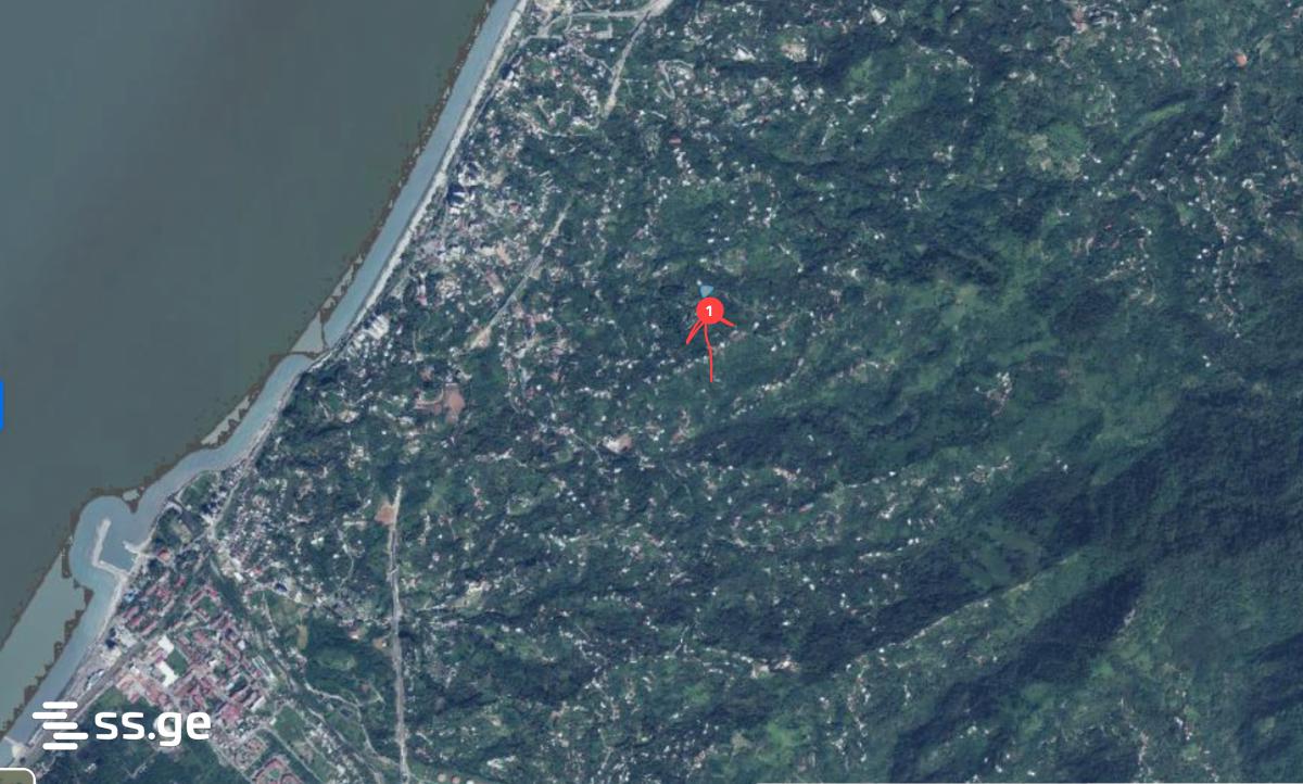 For Sale Sasoplo-Sameurneo Land Plot In Batumi view 6