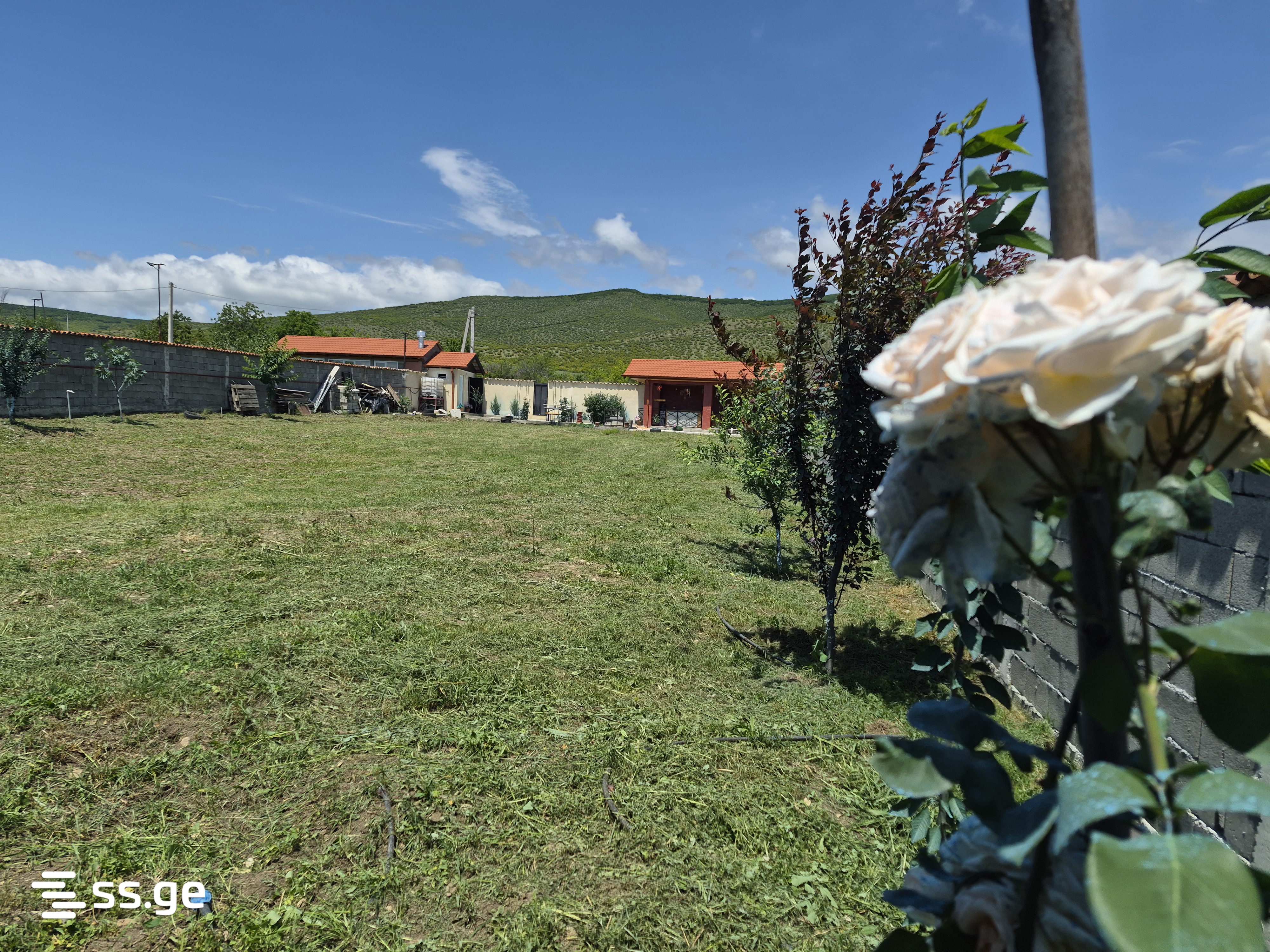 Land For Rent. Tsilkani view 3