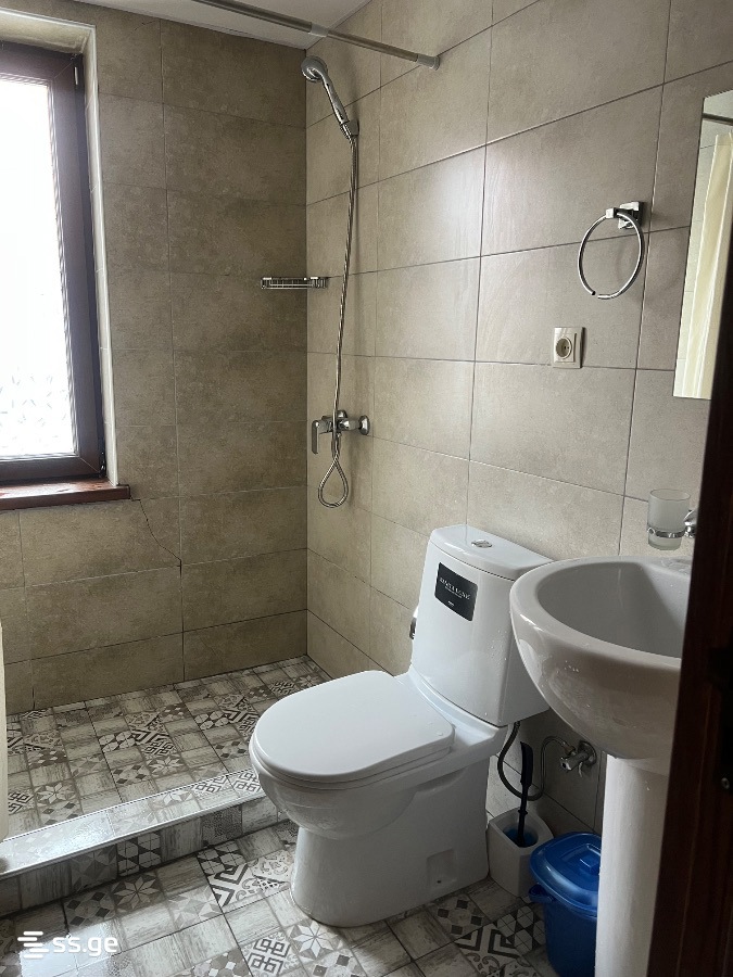 4 Room Summer Cottage Daily Rent. Bakuriani view 12