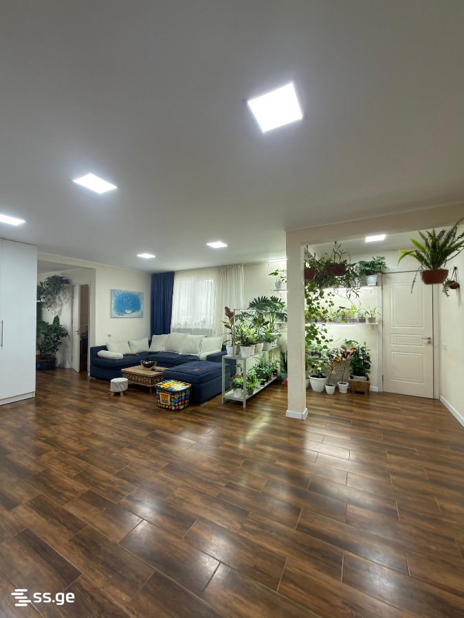 Private House For Sale. Tianeti view 1