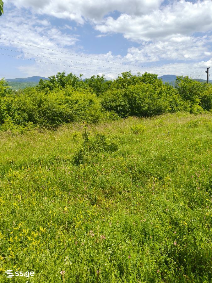 Land For Sale. Navdaraantkari view 7