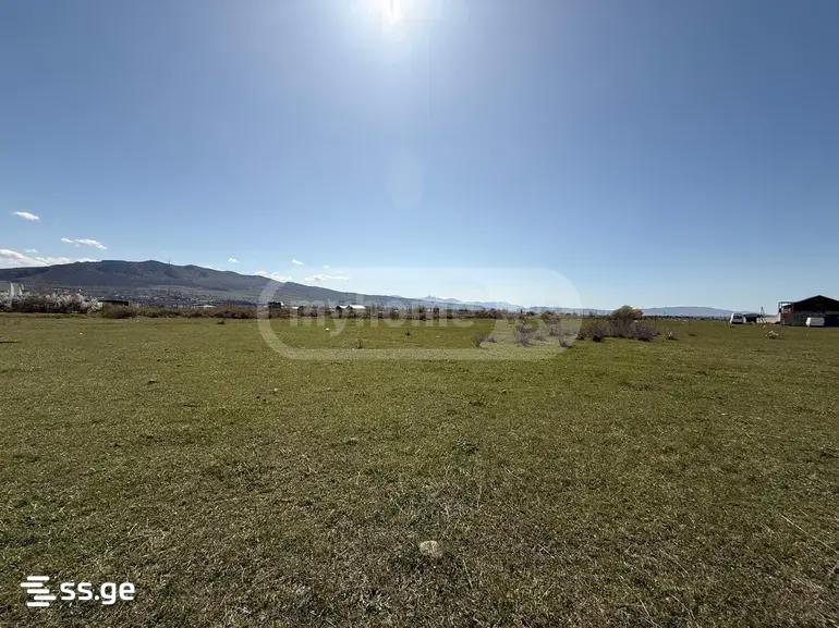 Land For Sale. Natakhtari view 5