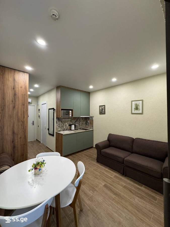 2 Room Flat For Sale view 4