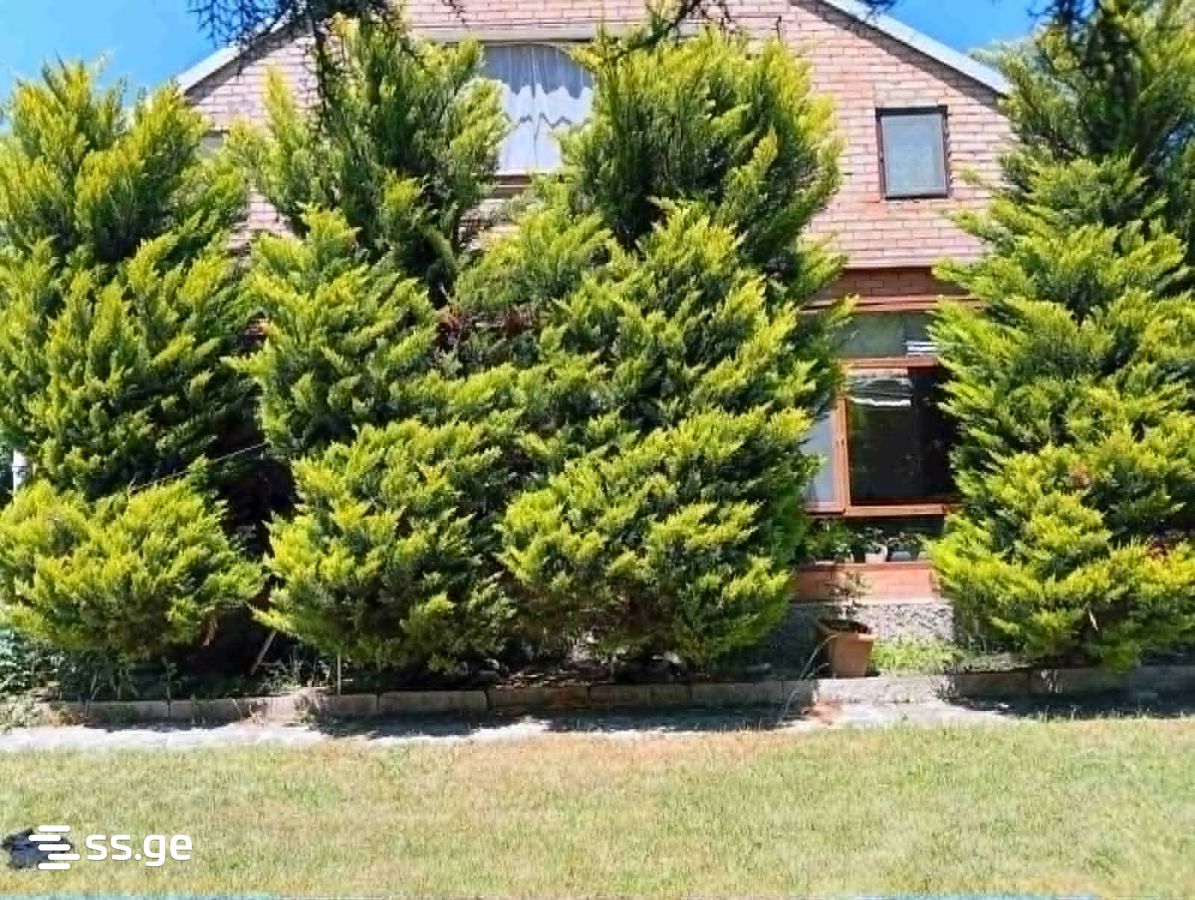 5 Room Private House For Sale view 1
